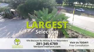 Verdant Tree Farm And Landscape Video