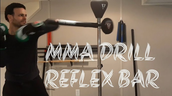 TITLE Rapid-Reflex Boxing Bar