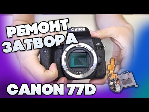 Canon 77D ремонт затвора