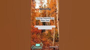 Java Backend Developer# 46