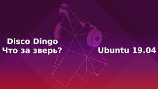 Что нового завезла Canonical в Ubuntu 19.04 Disco Dingo