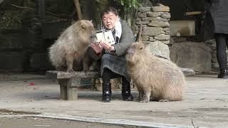 This Is for the Lovely Lady from Kyoto Who I Met at Nagasaki Bio Park. With Kikyo and Butter