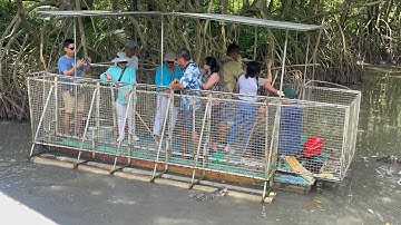 Câu cá sấu ở Vàm Sát September 2025