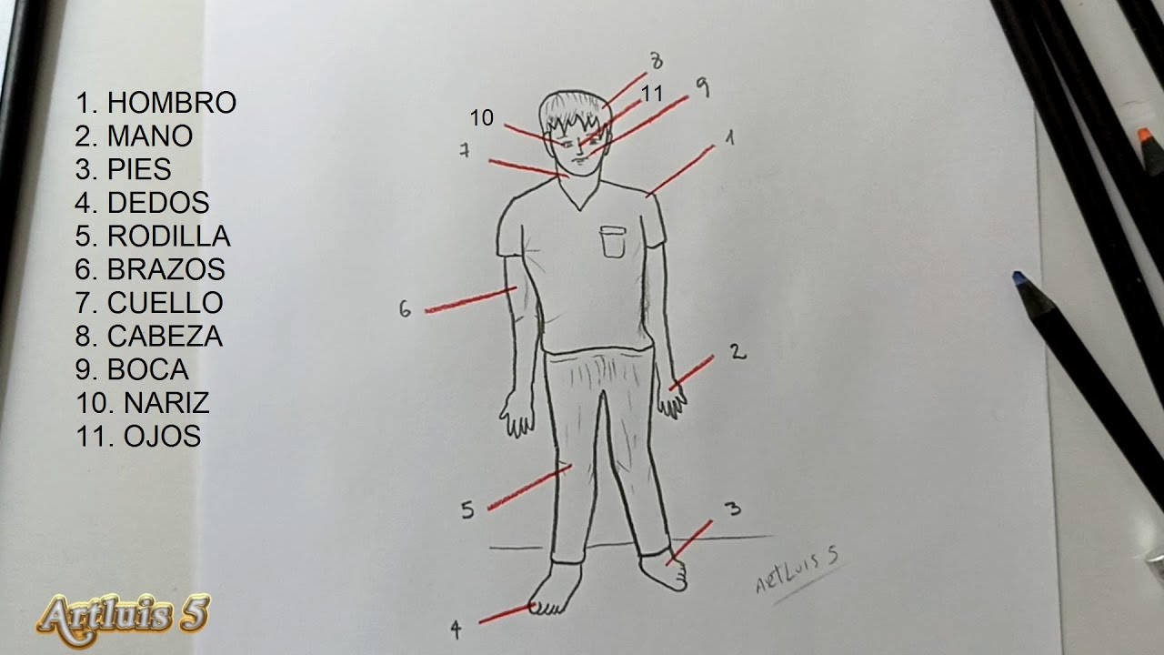 Como dibujar un CEREBRO ? | How to draw a BRAIN? - YouTube
