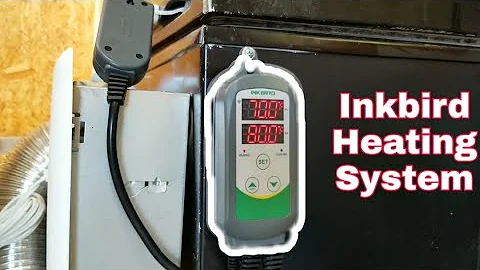 How To Heat A Flesh Eating Beetle Enclosure