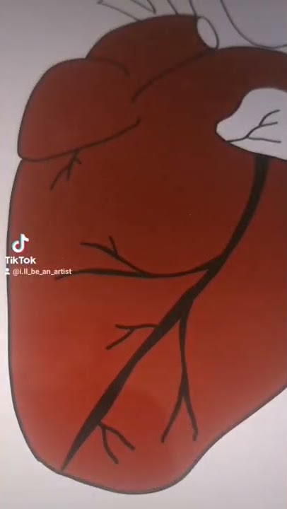 Heart | #heart #digitalart #animation #procreate #ipad #herz #red #digitalekunst #art #artist #kunst