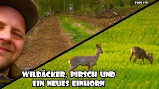 Wildäcker, Pirsch und ein neues Einhorn / RevierLeben // Vlog 70 by Ich geh jagen 9,065 views 1 year ago 18 minutes