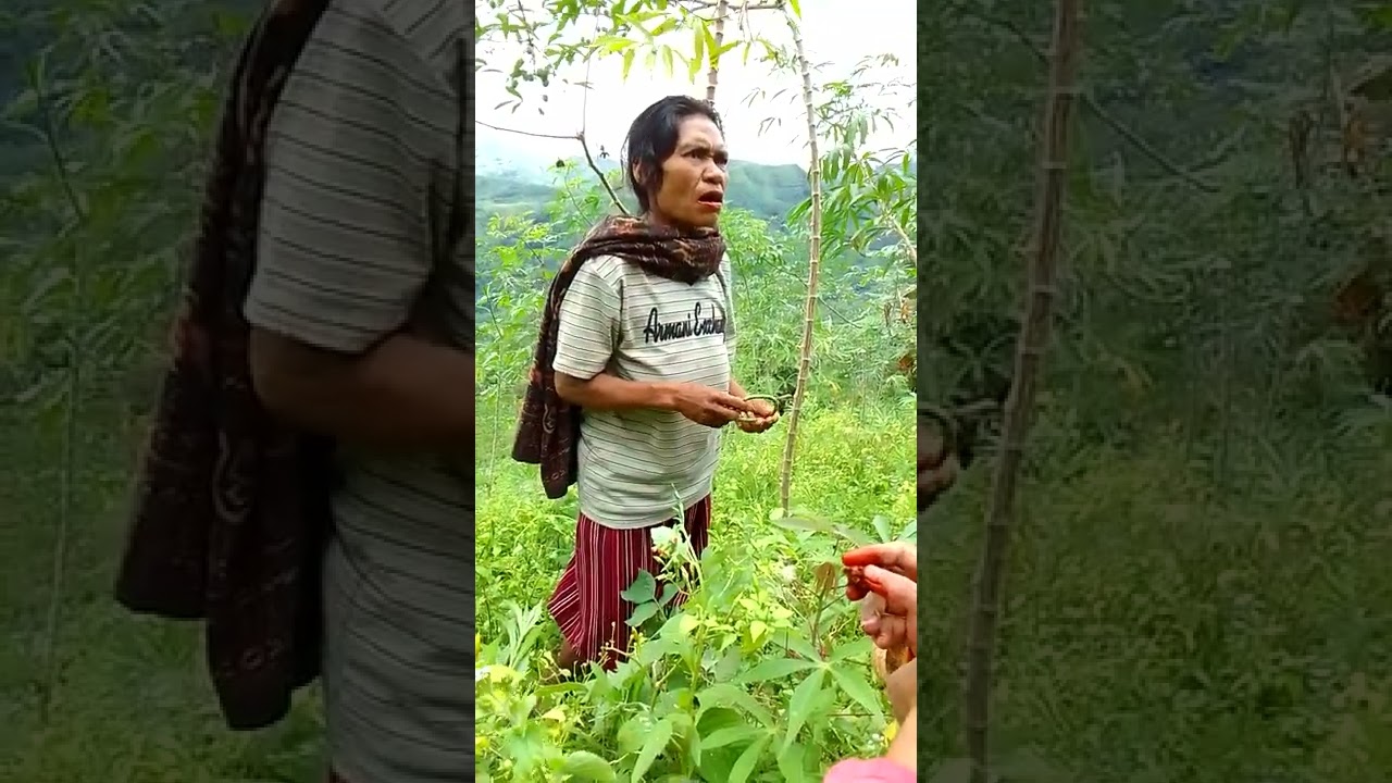 cerita lucu bahasa ende lio