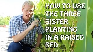 How To Use The Three Sisters Planting In Raised Beds