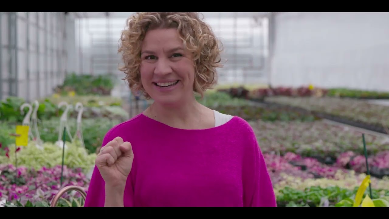 Semis simplifiés par Mélanie Grégoire