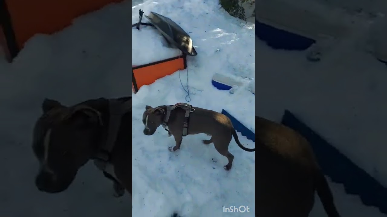 Close to Tory Hill, Ontario. Hunters Camp