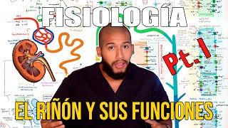 Fisiología Renal Pt. 1 - Anatomía Funcional del Riñón (Funciones, Nefrona, Irrigación)