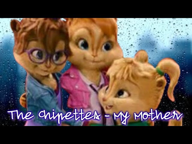 thumbnail img1x1
