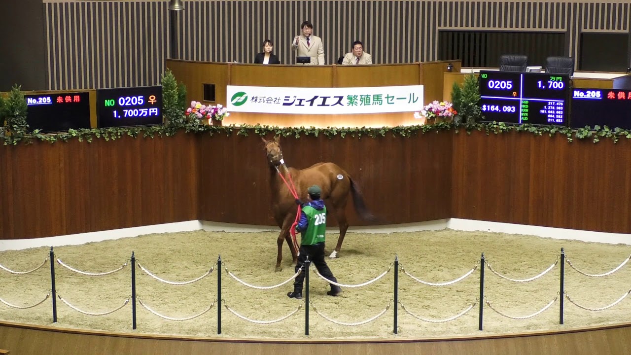 ジェイエス 冬季繁殖馬セール22 Js Company Winter Broodmare Sale が開催 結果概要等 サラブレッドセール せり市場 馬市 種牡馬 の最新情報 By馬市 Com