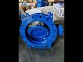 Double eccentric butterfly valve#butterflyvalves #manufacturing
