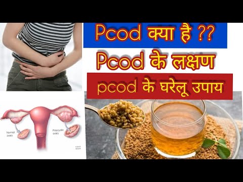 Pcod क्या है ? Pcod Problem Solution In Hindi ll Pcod के घरेलू उपाय ll ...