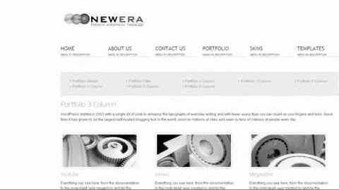 NewEra 3 in 1 Wordpress Theme Ready in 10 Minutes