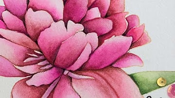 Quick pencil accents make a big difference