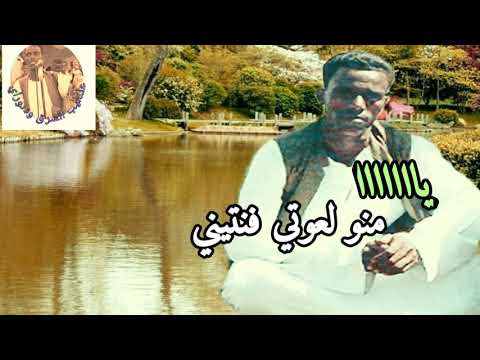Tigre Music Ibrahim Nory ابراهيم نوراي اغنية بحر سيتيت