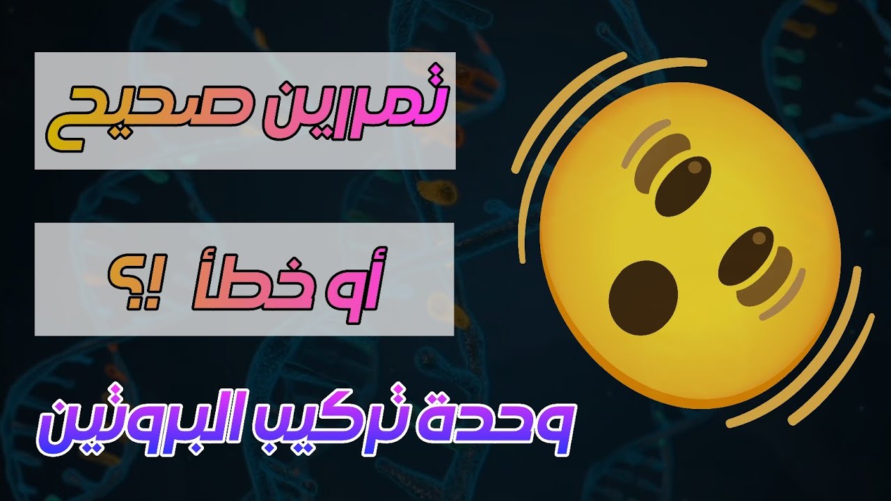 التمرين 22 : تركيب البروتين ( الأستنساخ 🧬 ) .