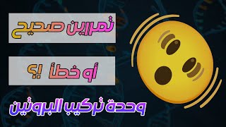 التمرين 22 : تركيب البروتين ( الأستنساخ 🧬 ) .