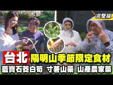 台灣-詹姆士出走料理-EP 246