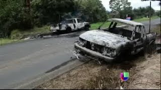 Enfrentamiento entre las Autodefensas y los Caballeros Templarios en Michoacán-- Noticiero Univisión