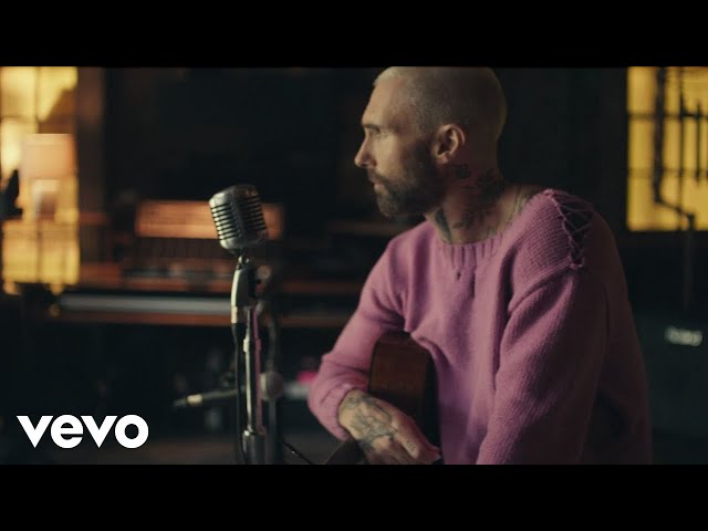 MAROON 5 - Hot-Middle Ground