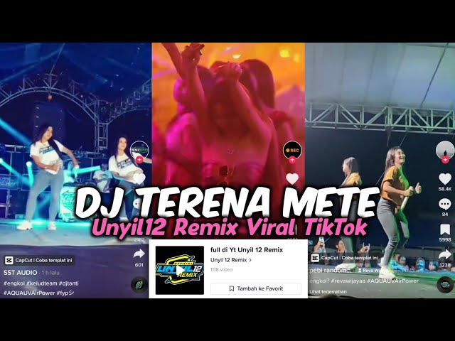 DJ TERENA METE UNYIL12 REMIX VIRAL TIKTOK 2023 class=