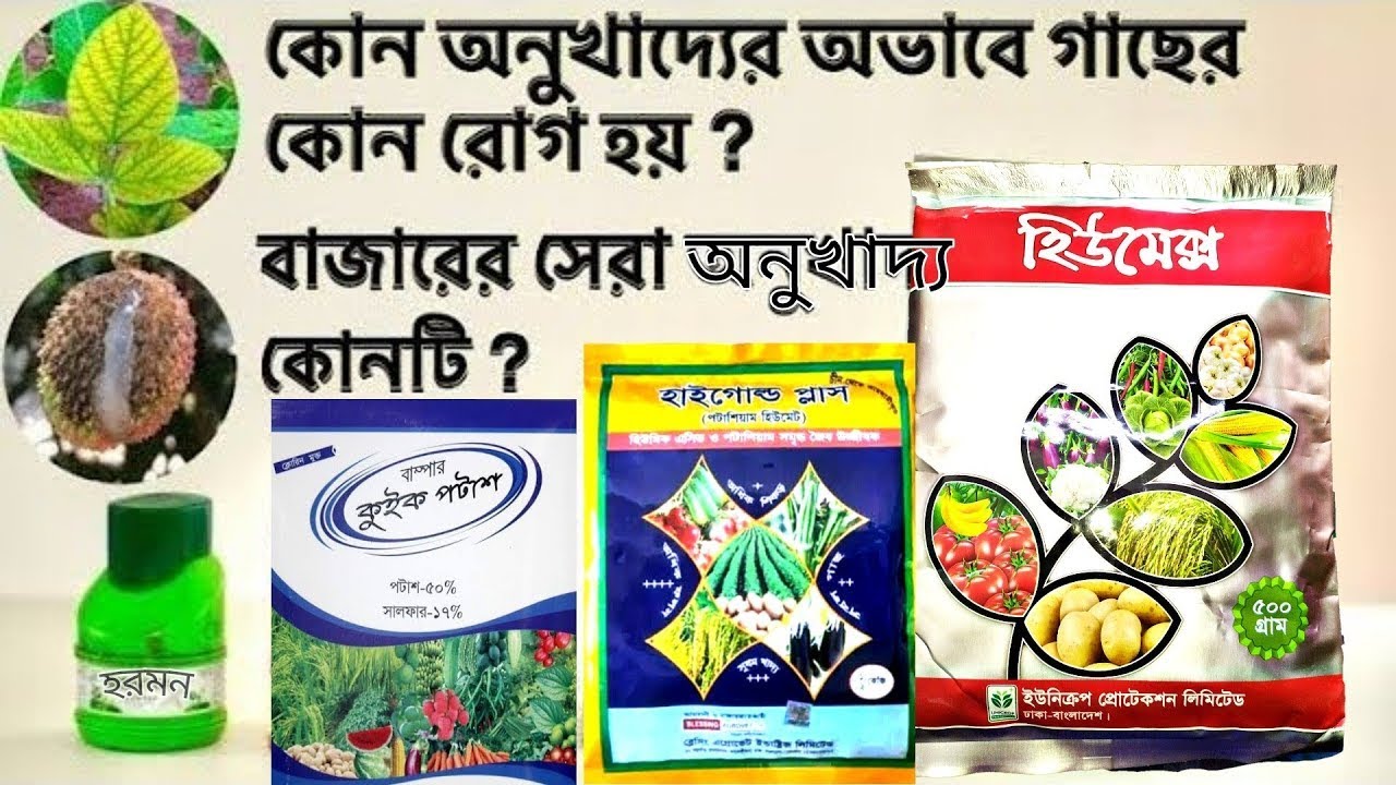 আনু খাদ্য কি A to Z । Plant Micronutrients Deficiency and Remedy   অনুখাদ্যের অভাবজনিত লক্ষণ