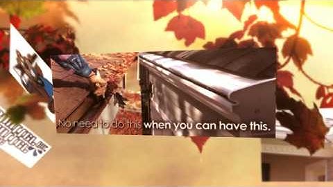 The Gutter Shutter Co.