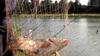 ЛОВЛЯ КАРПА и ЩУКИ  ( 1 СЕРИЯ ) Рыбалка / Рыбалка Тверь / Карп / Щука / Fishing fun(ЖМИ ! ЖМИ СЮДА !!! https://youtu.be/_V__1FtecEg?list=PL5asygCYQhWgBD87eFhepODSSkzvx6P2g ▻ ПОДПИШИСЬ НА КАНАЛ !, 2015-10-17T16:11:32.000Z)