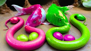 Stop Motion ASMR Rainbow Fishing - Crocodile Big Frogs Petsmart eel in hole Primitive Cooking
