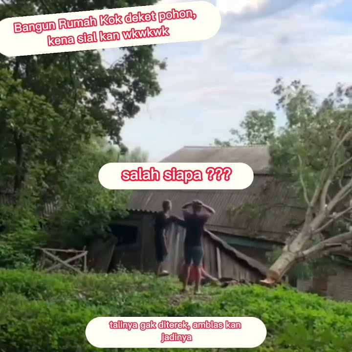 Viral Video Tebang Pohon Nimpa Rumah #shorts #videoviral #lucu