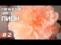 ГИГАНТСКИЕ ростовые цветы. Пион (часть II) / Giant paper flowers | Peony | Part 2