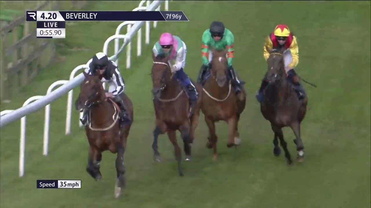 THE MOST CONFIDENT RIDE EVER???