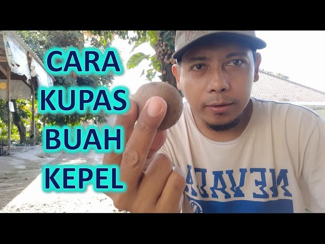 KEPEL fruit?? HOW TO PEEL it class=