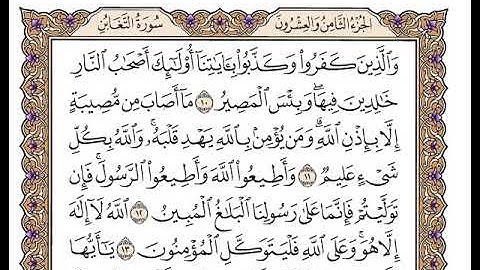 سورة التغابن بصوت الشيخ وديع اليمني
