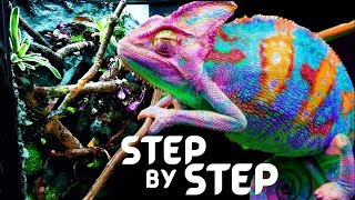 DIY Chameleon Pet Setup || Bioactive Panther Chameleon Setup