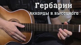 Гербарий (фрагмент)  Аккорды В.Высоцкого