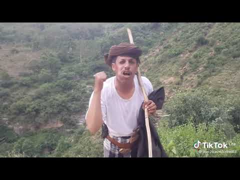 مابش مغترب سالي