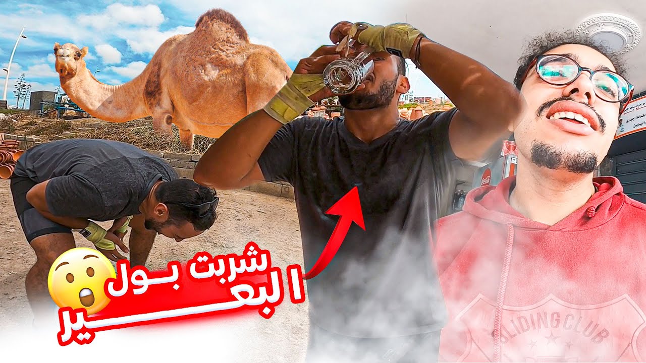 بدينا رحلة جديدة.. اول مرة نشرب بول الباعير، وتلاقينا بالدراري ديال الشياطة