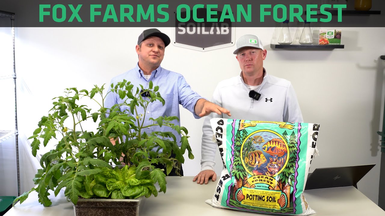 Fox Farms Ocean Forest Potting Soil Testing | Know Before You Grow