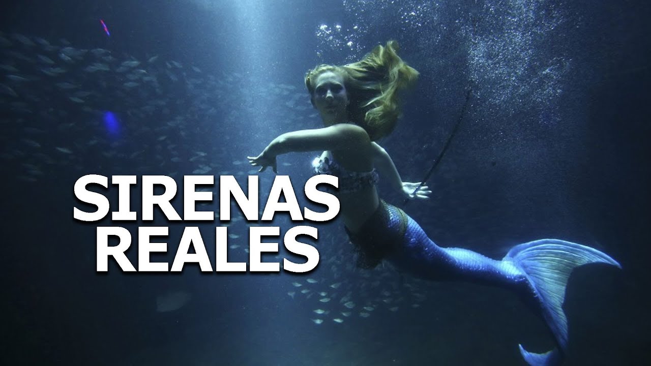 Sirenas reales captadas en vídeo, 2016 - YouTube.