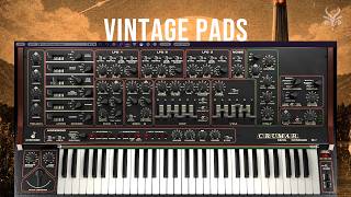 Cherry Audio Crumar DS-2 Presets – Vicious Antelope Bitter Residue Vintage Pads