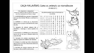 ANIMAIS! VAMOS BRINCAR DE CAÇA-PALAVRAS? KIND 3