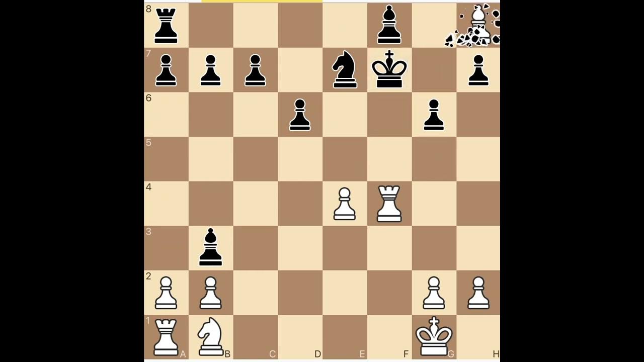 фигуры в шахматах. как ходит королева в шахматах. жила шахи. шахматные фигуры. стеклянная пешка шахматы.