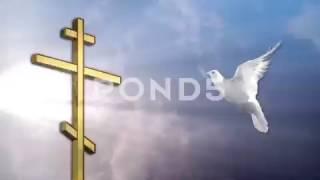 Dove White Christian Symbol Loop