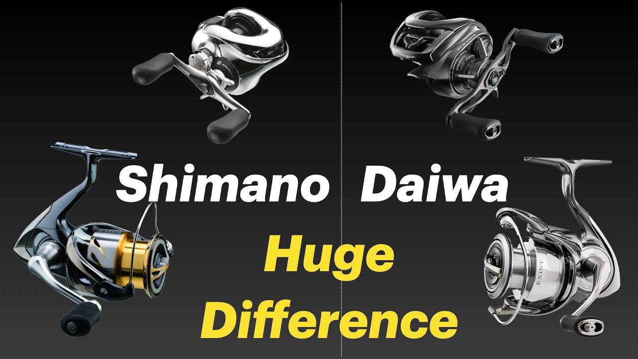 Not about Who is Better: This HUGE Difference of Shimano vs Daiwa