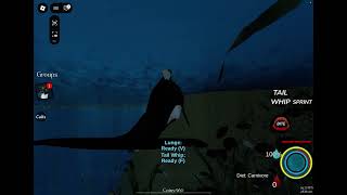 A penguin on top of a orca _ Oceanic testing 2